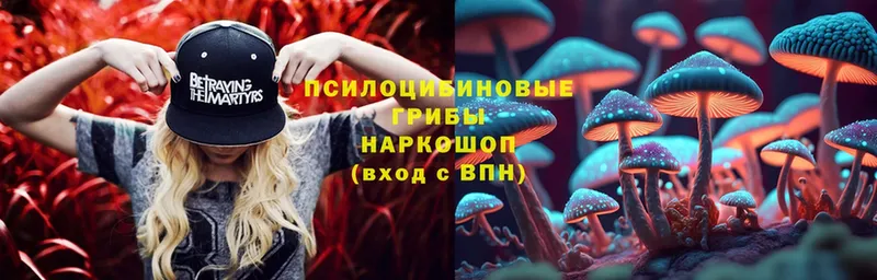 hydra   купить наркотики сайты  Ижевск  Галлюциногенные грибы Magic Shrooms 